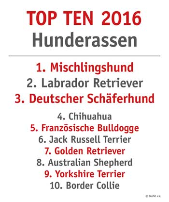 Grafik: Die beliebtesten Hunderassen 2016