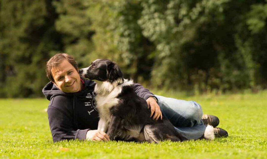 Die bekanntesten TV-Hundetrainer