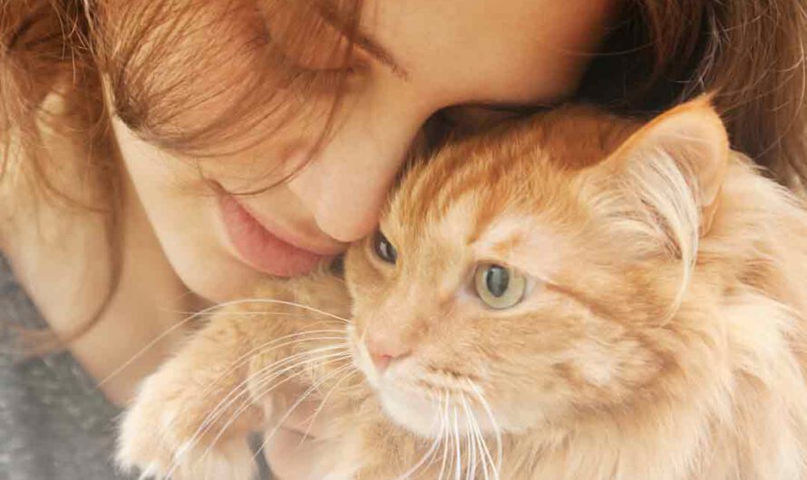 5 Gründe, warum Katzen einfach glücklich machen