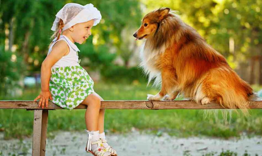 8 Gründe: Darum sollten Kinder mit Hunden aufwachsen
