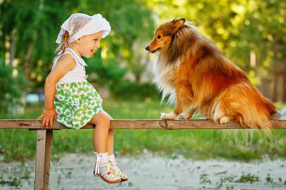 Kinder und Hunde