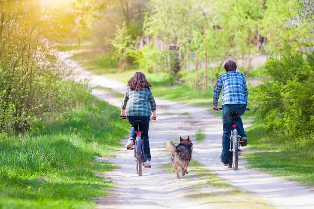 Radfahren mit Hund