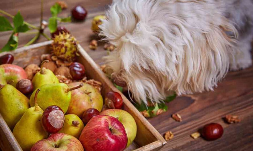 Diese Gefahr droht beim Herbstspaziergang