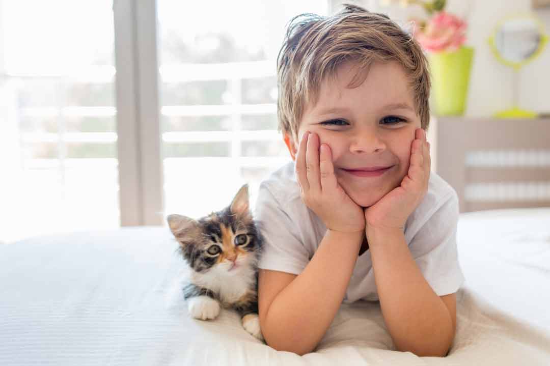 Ein Junge mit einer jungen Katze