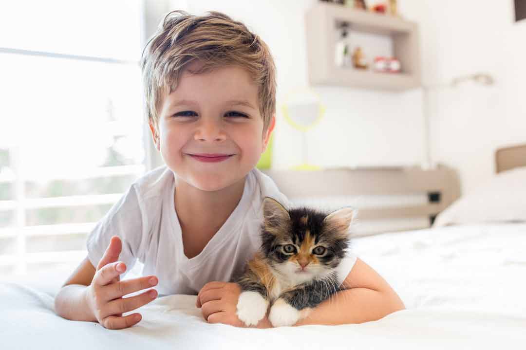 Eine Katze für Kinder kann das Leben bereichern