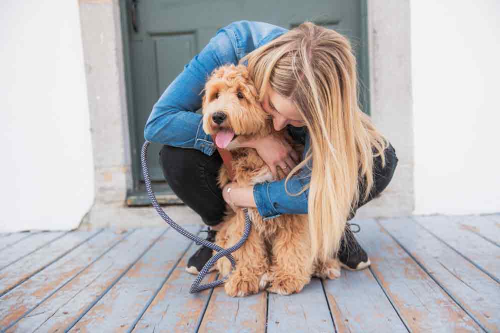 Ein Labradoodle wird von einer Frau umarmt