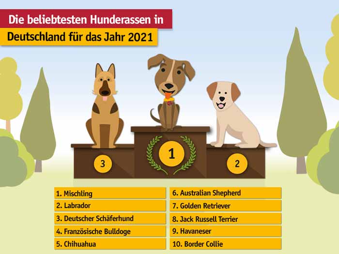 Grafik: Die beliebtesten Hunderassen 2021
