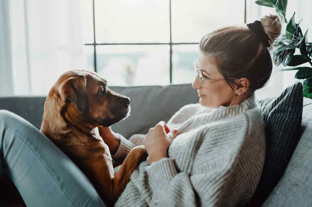 Wie kann man dem Hund zeigen, dass man ihn liebt?