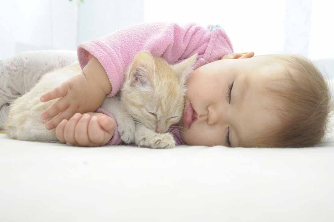 Katze: Ein Baby kommt ins Haus