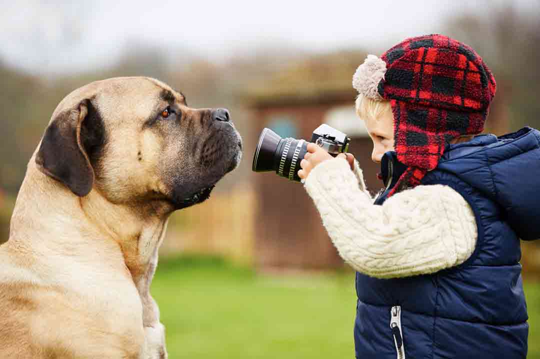 Hunde fotografieren: So gelingen schöne Hundefotos