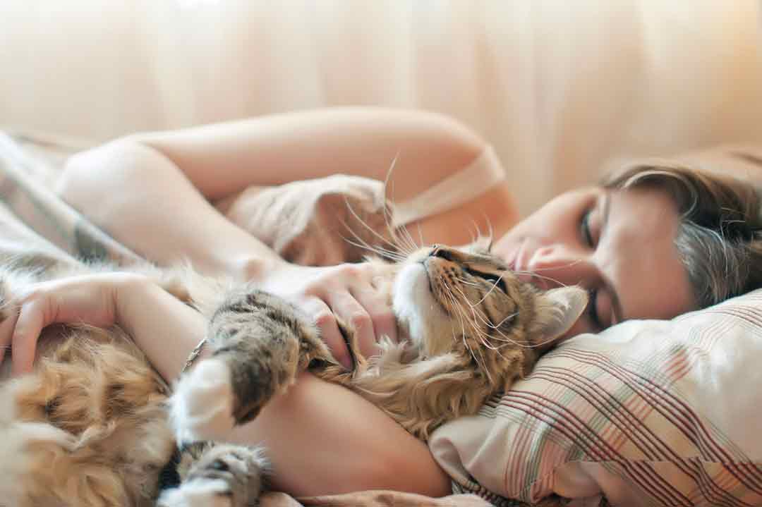 Katze schläft auf mir: Warum liegen Katzen so gern auf Menschen?