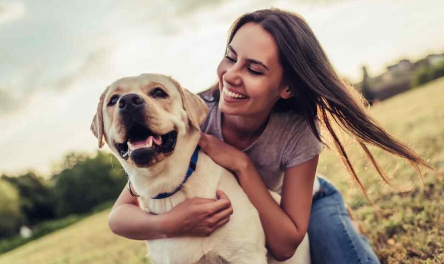 7 Vorteile: So gesund hält der Hund