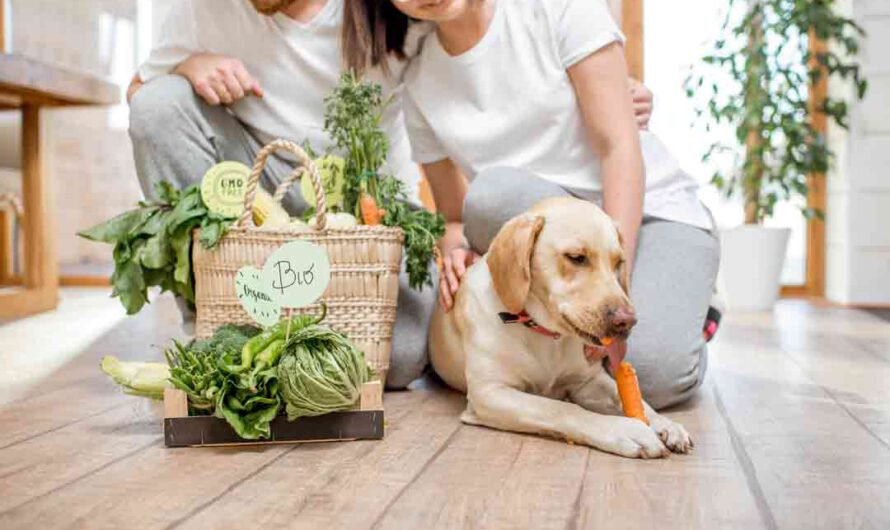 Nachhaltige und artgerechte Hundeernährung