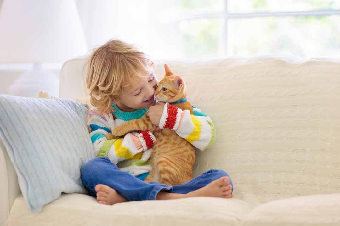 Katzenschnupfen ist übertragbar auf Menschen