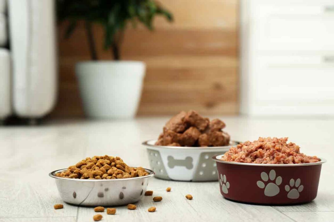 Nachhaltige Hundeernährung