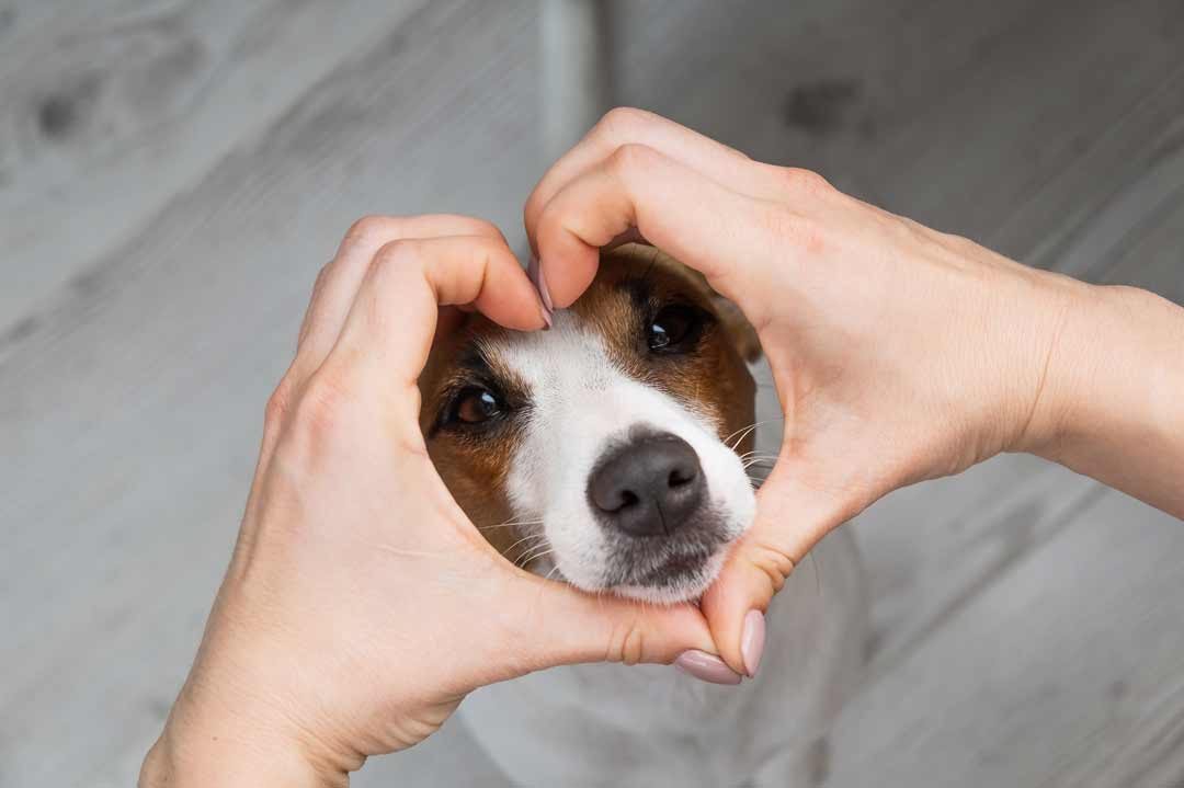 Die beliebtesten Hunderassen 2025: Eine Frau formt mit der Hand ein Herz um das Gesicht eines Hundes